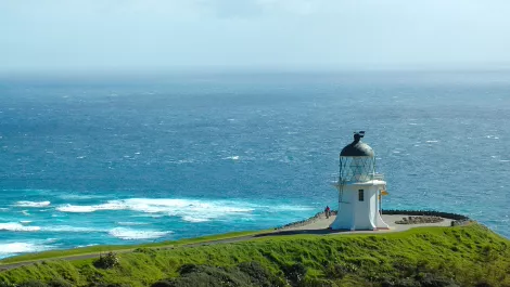 HP helps NZ Govt Council boost productivity