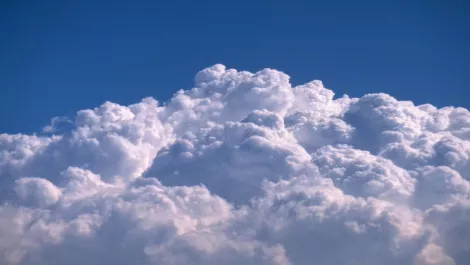 IT budgets focus on cloud services, creating opportunity for vendors and MSPs