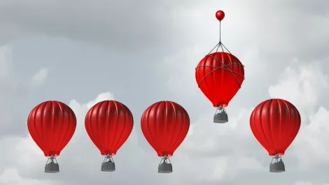 Automation: Vendors investing in new service offerings to gain prominence