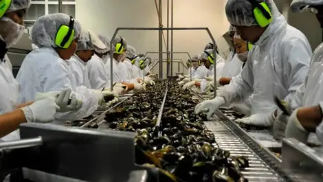 Complacency over chemical use leaves worker without an eye
