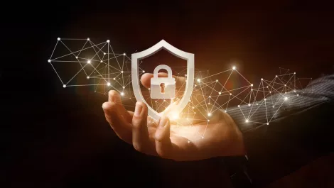 Radware named Leader for application and API protection