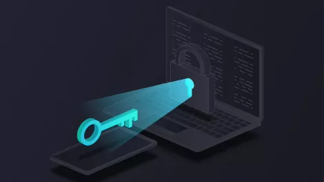 How secure is accounting software data in Aotearoa?