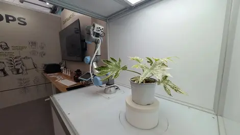 University of Lincoln wins Chelsea medal for RoboCrops